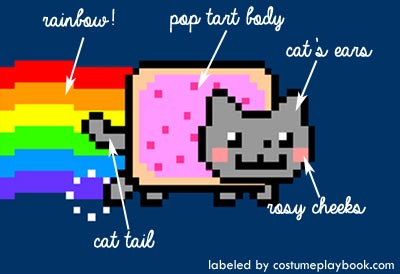 Nyan Cat Costume for Humans Costume Playbook Cosplay