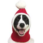 santa hat for dogs