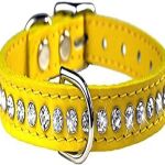 dollar richie rich dog collar