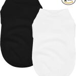 white shirt for dollar dog
