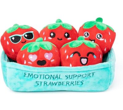 Strawberry Plush Alternative