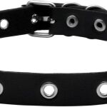choker roxy richter