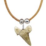 Shark Tooth Necklace