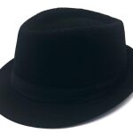 Black Fedora Hat