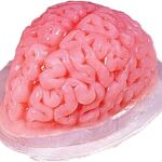 brain prop izombie
