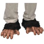 primate feet