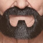 beard terry brooklyn 9