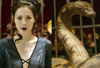 Nagini - Crimes of Grindenwald