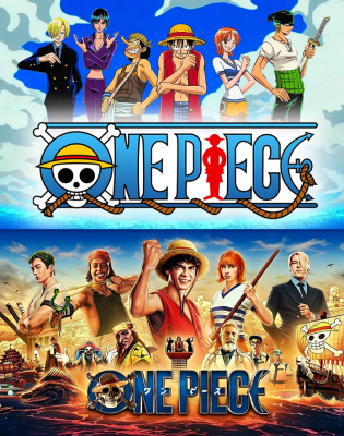 One Piece, Anime Guide