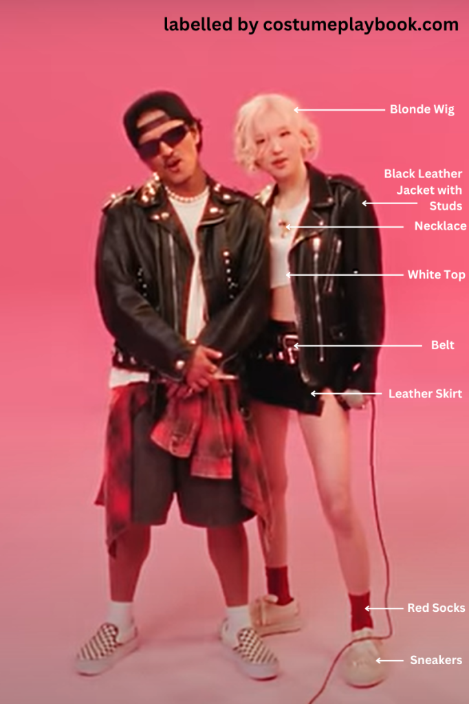 Rose Outfit Guide APT music video