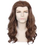 brown hair elliott stardew