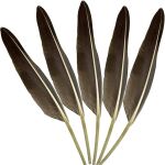 elliott feather quill