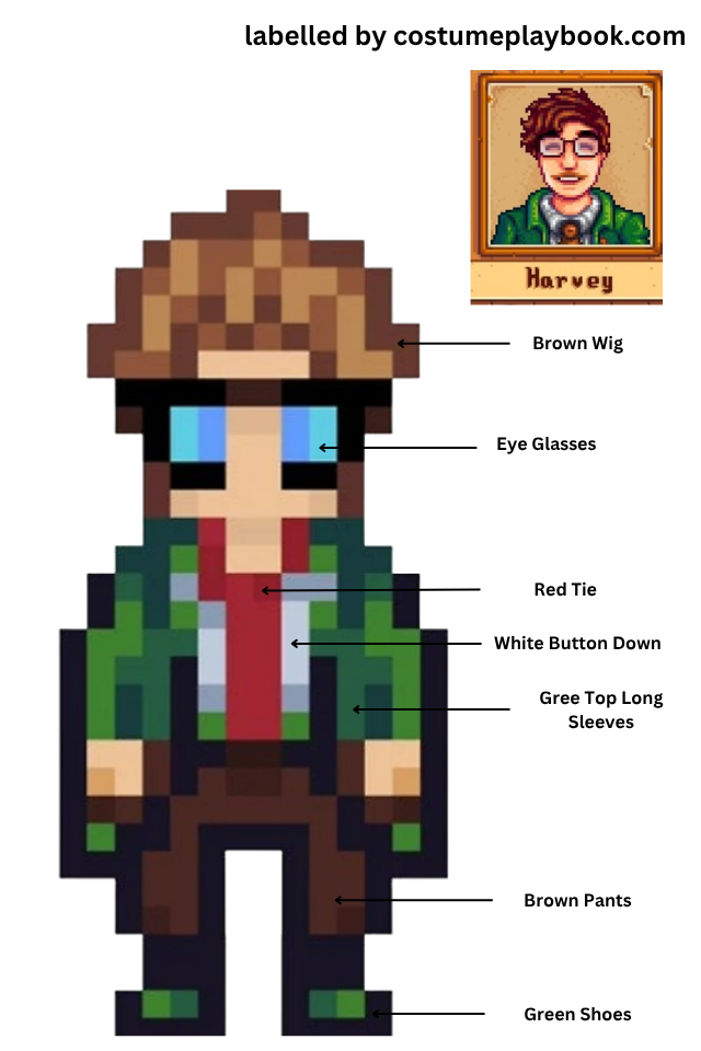 harvey stardew doctor costume
