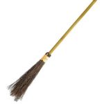 witch broom
